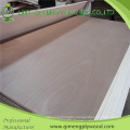 Two Time Hot Press 9mm Commercial Plywood with Poplar Core